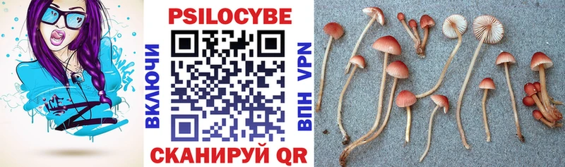 наркошоп Сыктывкар mega зеркало Галлюциногенные грибы мухоморы