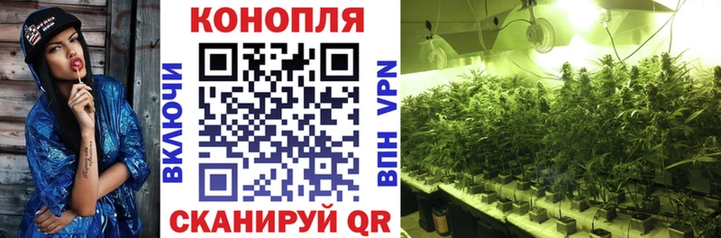 купить   дарк нет как зайти  Бошки марихуана семена  Сыктывкар 